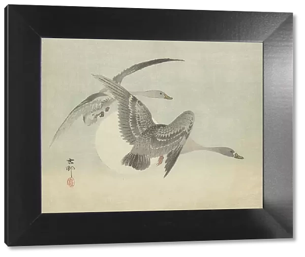 Two geese in flight. Creator: Ohara, Koson (1877-1945)