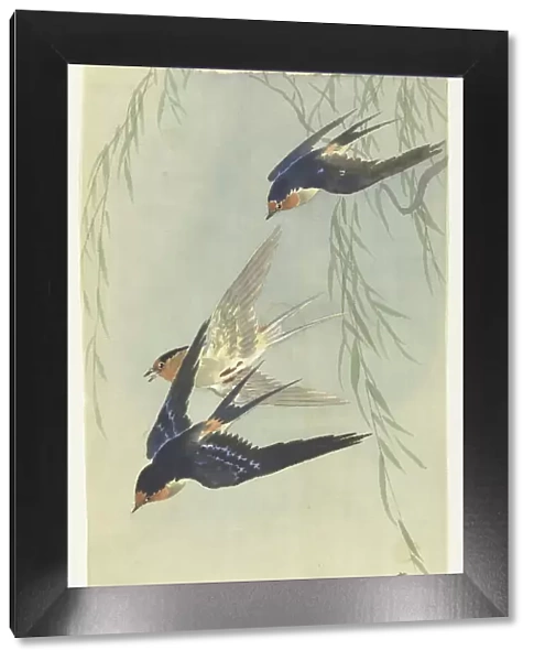 Three birds in full flight. Creator: Ohara, Koson (1877-1945)