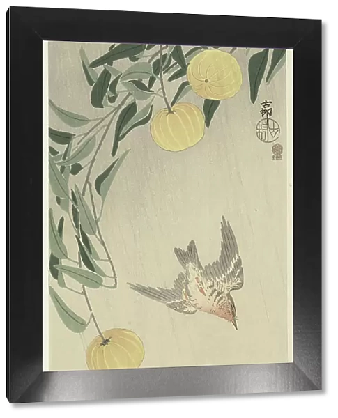 Cuckoo in the rain, 1900-1910. Creator: Ohara, Koson (1877-1945)