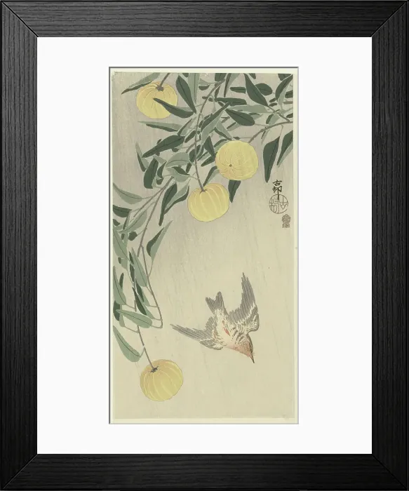 Framed Print : Cuckoo in the rain, 1900-1910. Creator: Ohara, Koson (1877-1945) Framed Print : Cuckoo in the rain, 1900-1910. Creator: Ohara, Koson (1877-1945)