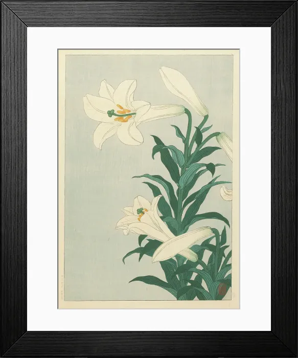 Framed Print : Lilies. Creator: Ohara, Koson (1877-1945) Framed Print : Lilies. Creator: Ohara, Koson (1877-1945)