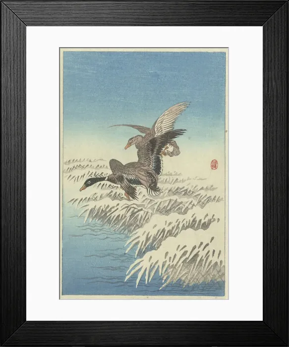 Framed Print : Flock of ducks flying above snowy reed collar. Creator: Ohara, Koson (1877-1945) Framed Print : Flock of ducks flying above snowy reed collar. Creator: Ohara, Koson (1877-1945)