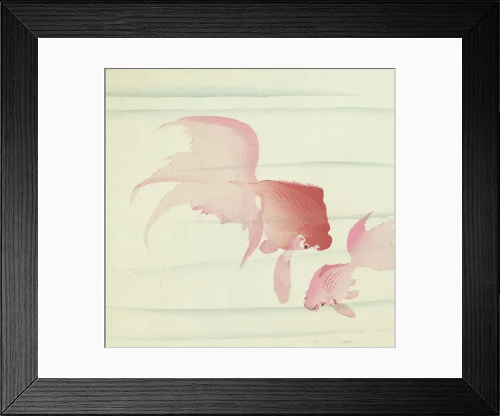 Framed Print : Two Veiltails. Creator: Ohara, Koson (1877-1945) Framed Print : Two Veiltails. Creator: Ohara, Koson (1877-1945)