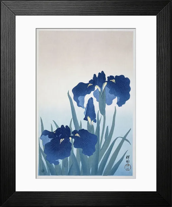 Framed Print : Irises, 1925-1936. Creator: Ohara, Koson (1877-1945) Framed Print : Irises, 1925-1936. Creator: Ohara, Koson (1877-1945)