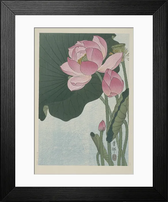 Framed Print : Blooming lotus flowers, 1920-1930. Creator: Ohara, Koson (1877-1945) Framed Print : Blooming lotus flowers, 1920-1930. Creator: Ohara, Koson (1877-1945)