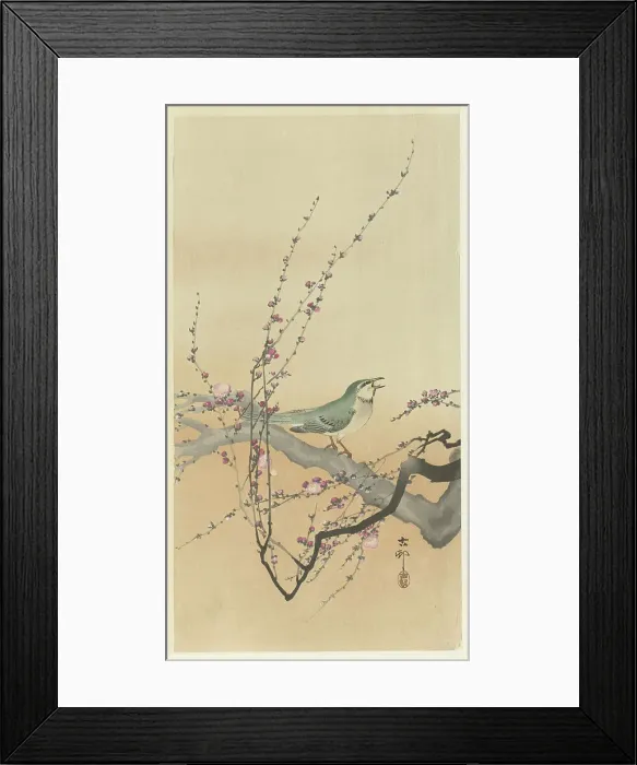 Framed Print : Songbird and plum blossom. Creator: Ohara, Koson (1877-1945) Framed Print : Songbird and plum blossom. Creator: Ohara, Koson (1877-1945)