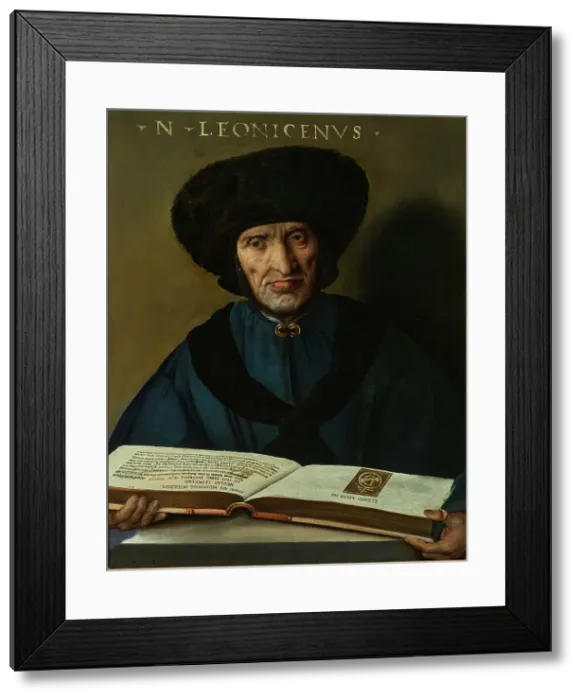 Framed Print : Portrait of Niccolò Leoniceno (1428-1524), 1521. Creator: Dossi, Dosso (ca. 1486-1542) Framed Print : Portrait of Niccolò Leoniceno (1428-1524), 1521. Creator: Dossi, Dosso (ca. 1486-1542)
