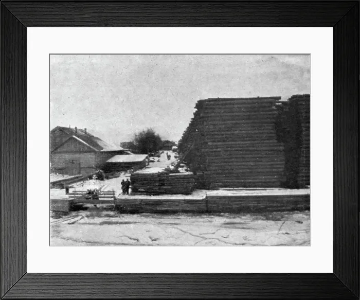 Framed Print : Reserve de bois sur une rive de la Dvina. 1916. Creator: Unknown Framed Print : Reserve de bois sur une rive de la Dvina. 1916. Creator: Unknown