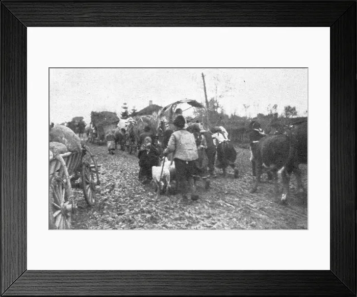 Framed Print : L'exode des paysans serbes.'. Creator: Unknown Framed Print : L'exode des paysans serbes.'. Creator: Unknown
