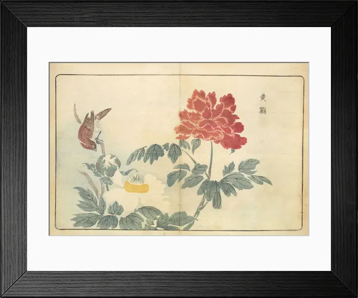 Framed Print : Illustration from Pictures of Imported Birds, 1790. Creator: Kitao, Masayoshi (1764-1824). Illustration from Pictures of Imported Birds, 1790. Creator: Kitao, Masayoshi (1764-1824) Framed Print : Illustration from Pictures of Imported Birds, 1790. Creator: Kitao, Masayoshi (1764-1824). Illustration from Pictures of Imported Birds, 1790. Creator: Kitao, Masayoshi (1764-1824)