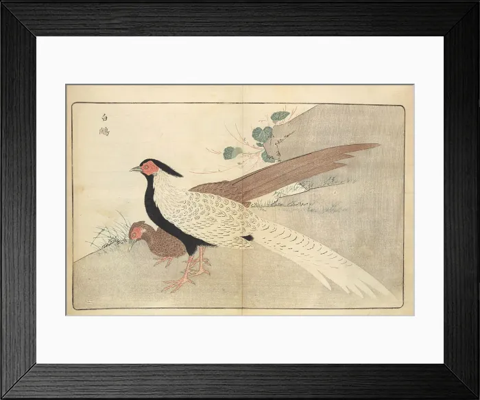 Framed Print : Illustration from Pictures of Imported Birds, 1790. Creator: Kitao, Masayoshi (1764-1824). Illustration from Pictures of Imported Birds, 1790. Creator: Kitao, Masayoshi (1764-1824) Framed Print : Illustration from Pictures of Imported Birds, 1790. Creator: Kitao, Masayoshi (1764-1824). Illustration from Pictures of Imported Birds, 1790. Creator: Kitao, Masayoshi (1764-1824)
