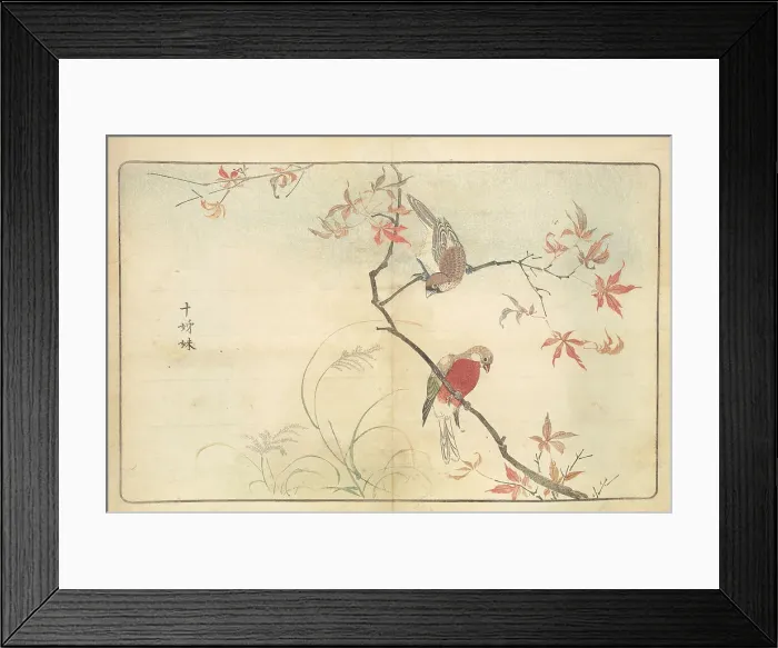 Framed Print : Illustration from Pictures of Imported Birds, 1790. Creator: Kitao, Masayoshi (1764-1824). Illustration from Pictures of Imported Birds, 1790. Creator: Kitao, Masayoshi (1764-1824) Framed Print : Illustration from Pictures of Imported Birds, 1790. Creator: Kitao, Masayoshi (1764-1824). Illustration from Pictures of Imported Birds, 1790. Creator: Kitao, Masayoshi (1764-1824)
