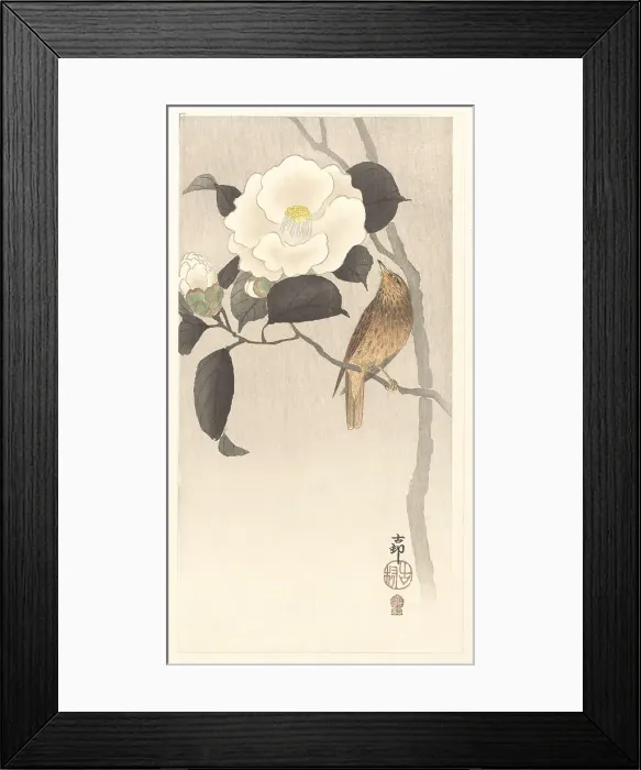 Framed Print : Songbird and blooming camellia, 1900-1910. Creator: Ohara, Koson (1877-1945) Framed Print : Songbird and blooming camellia, 1900-1910. Creator: Ohara, Koson (1877-1945)