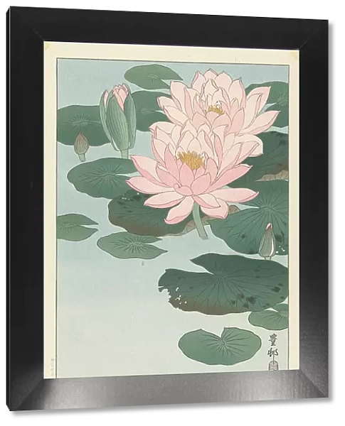 Water Lilies, 1920-1930. Creator: Ohara, Koson (1877-1945)
