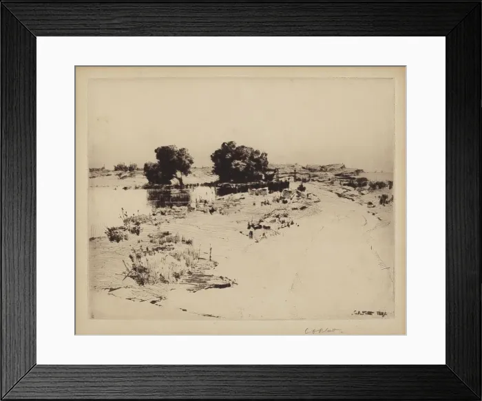 Framed Print : Cape Ann Willows, 1887. Creator: Charles A Platt Framed Print : Cape Ann Willows, 1887. Creator: Charles A Platt