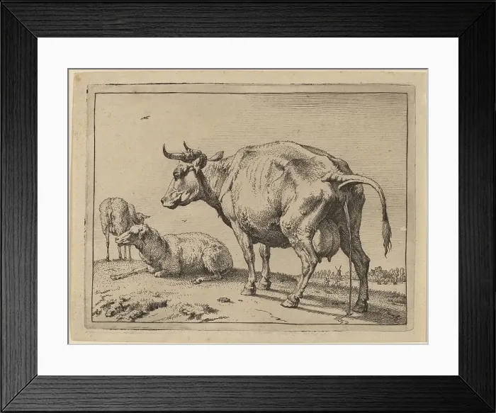 Framed Print : Pissing Cow, 1650. Creator: Paulus Potter Framed Print : Pissing Cow, 1650. Creator: Paulus Potter