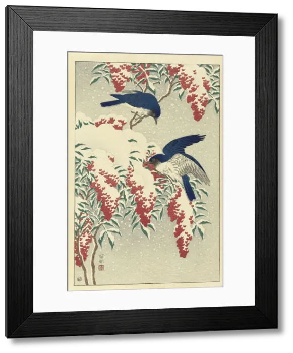 Framed Print : Flycatchers on the sacred bamboo, 1925-1936. Creator: Ohara, Koson (1877-1945) Framed Print : Flycatchers on the sacred bamboo, 1925-1936. Creator: Ohara, Koson (1877-1945)