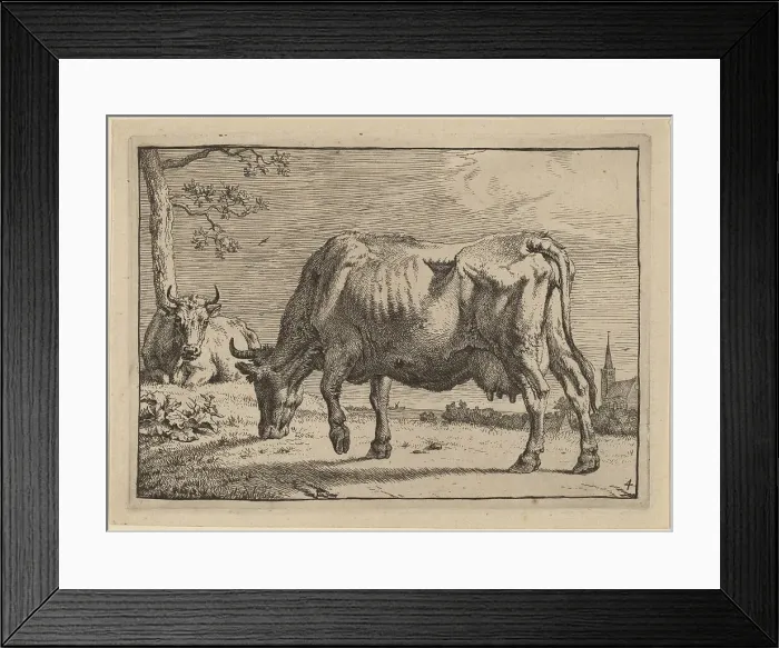 Framed Print : Grazing Cow, 1650. Creator: Paulus Potter Framed Print : Grazing Cow, 1650. Creator: Paulus Potter