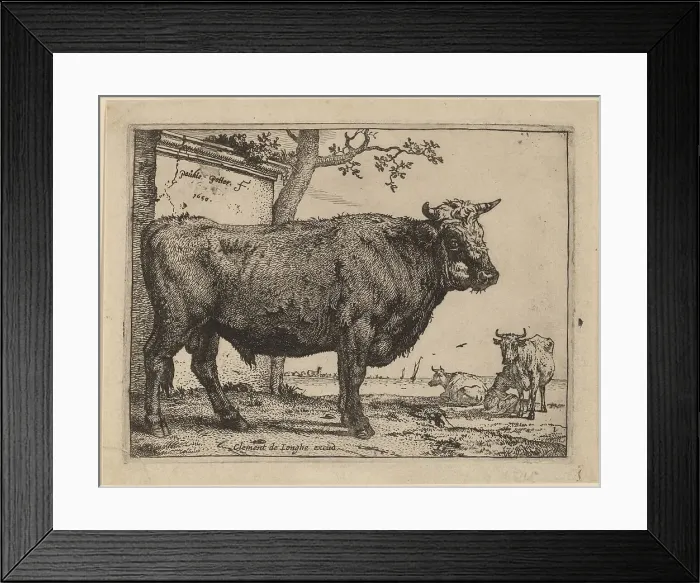 Framed Print : Bull, 1650. Creator: Paulus Potter Framed Print : Bull, 1650. Creator: Paulus Potter