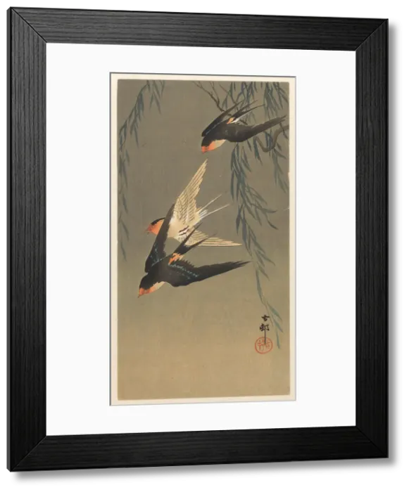Framed Print : Three red-rumped swallows in a dive, 1920-1930. Creator: Ohara, Koson (1877-1945) Framed Print : Three red-rumped swallows in a dive, 1920-1930. Creator: Ohara, Koson (1877-1945)