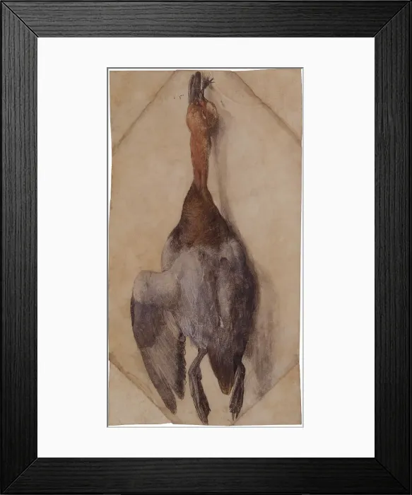 Framed Print : Dead Duck, ca 1502 (or ca 1512). Creator: Dürer, Albrecht (1471-1528) Framed Print : Dead Duck, ca 1502 (or ca 1512). Creator: Dürer, Albrecht (1471-1528)