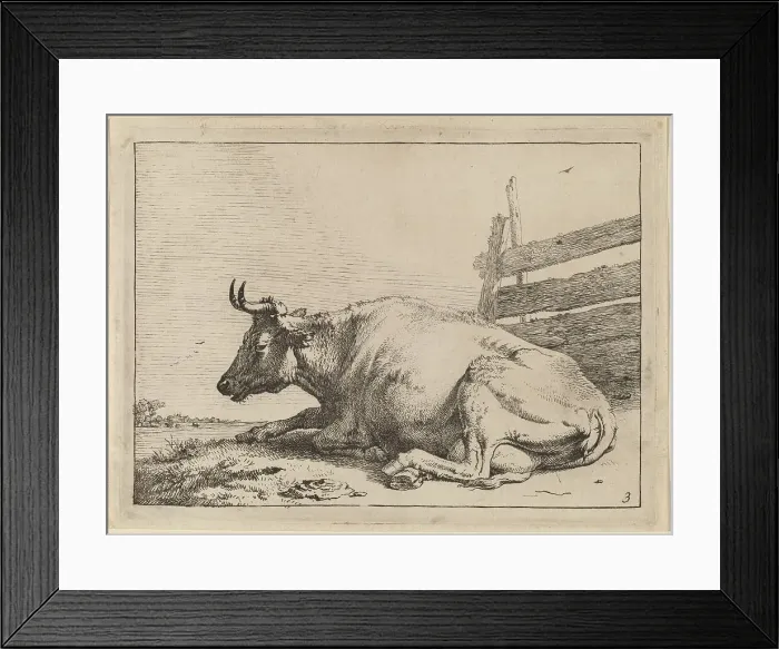 Framed Print : Cow Lying Down near a Fence, 1650. Creator: Paulus Potter Framed Print : Cow Lying Down near a Fence, 1650. Creator: Paulus Potter