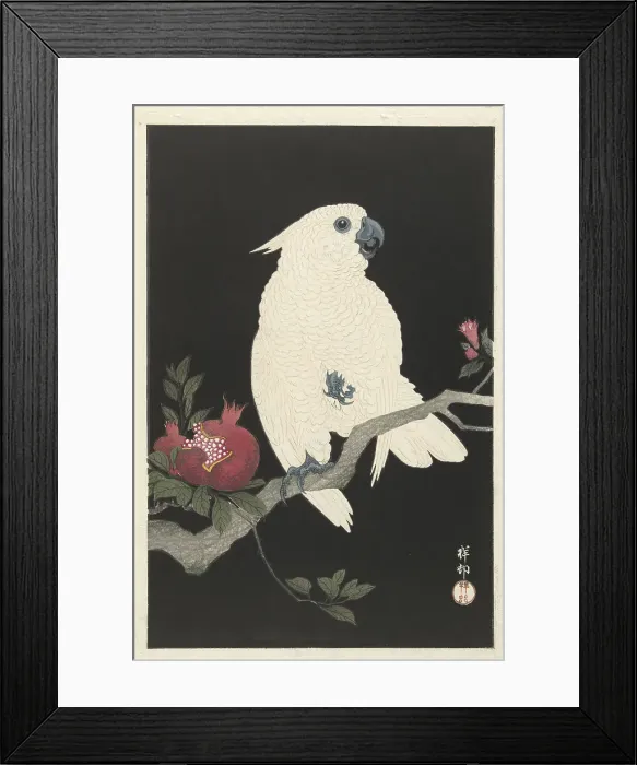 Framed Print : Cockatoo and pomegranate, 1925-1936. Creator: Ohara, Koson (1877-1945) Framed Print : Cockatoo and pomegranate, 1925-1936. Creator: Ohara, Koson (1877-1945)