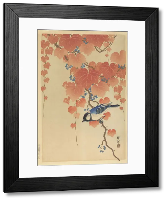 Framed Print : Great tit on paulownia branch, 1925-1936. Creator: Ohara, Koson (1877-1945) Framed Print : Great tit on paulownia branch, 1925-1936. Creator: Ohara, Koson (1877-1945)