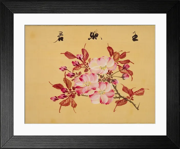 Framed Print : From the Sketch Book of Sakura (Cherry Blossoms), Between 1830 and 1853. Creator: Sakamoto, Konen (1800-1853) Framed Print : From the Sketch Book of Sakura (Cherry Blossoms), Between 1830 and 1853. Creator: Sakamoto, Konen (1800-1853)