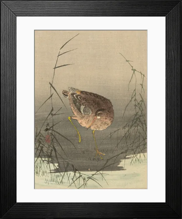 Framed Print : A snipe in a marsh, Between 1900 and 1915. Creator: Ohara, Koson (1877-1945) Framed Print : A snipe in a marsh, Between 1900 and 1915. Creator: Ohara, Koson (1877-1945)