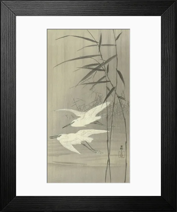 Framed Print : Two egrets in flight, Between 1910 and 1920. Creator: Ohara, Koson (1877-1945) Framed Print : Two egrets in flight, Between 1910 and 1920. Creator: Ohara, Koson (1877-1945)