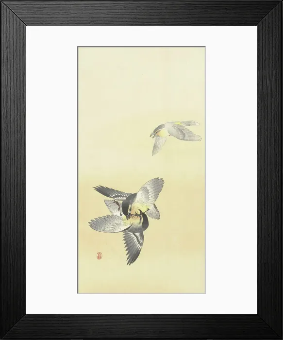 Framed Print : Two fighting birds. Creator: Ohara, Koson (1877-1945) Framed Print : Two fighting birds. Creator: Ohara, Koson (1877-1945)
