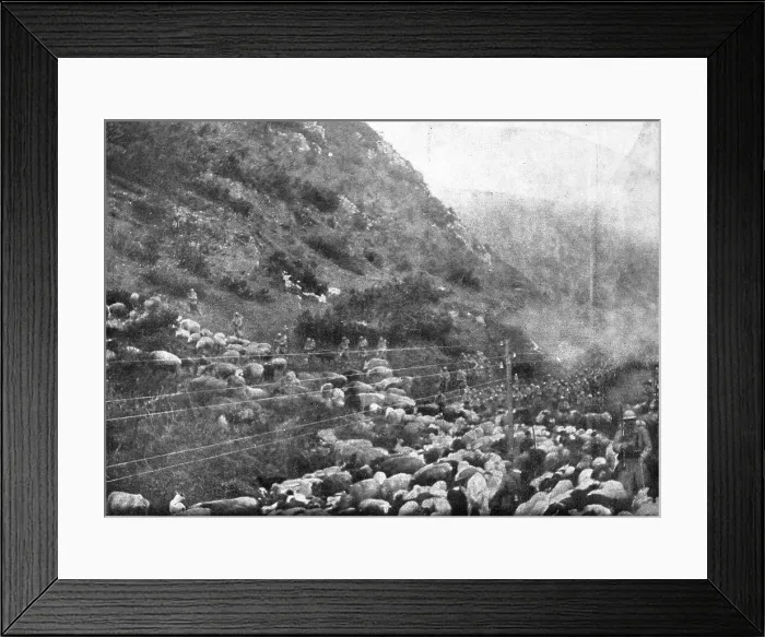 Framed Print : Le repli des troupes Francaises vers Salonique; --Passage du defile de Demir-Kapou... 1916. Creator: Unknown