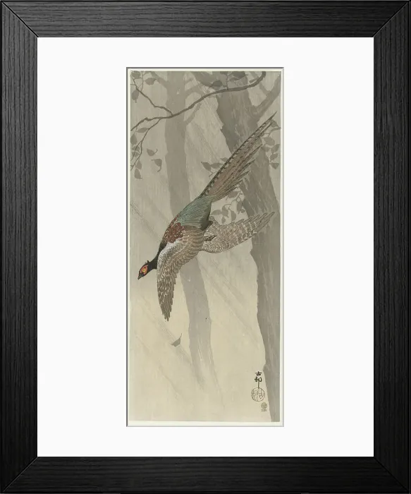 Framed Print : Flying pheasant, Between 1900 and 1915. Creator: Ohara, Koson (1877-1945) Framed Print : Flying pheasant, Between 1900 and 1915. Creator: Ohara, Koson (1877-1945)