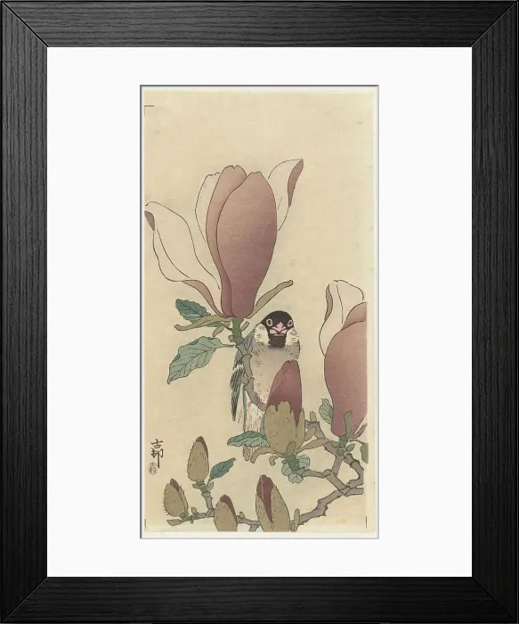 Framed Print : Sparrow on blooming magnolia branch. Creator: Ohara, Koson (1877-1945) Framed Print : Sparrow on blooming magnolia branch. Creator: Ohara, Koson (1877-1945)