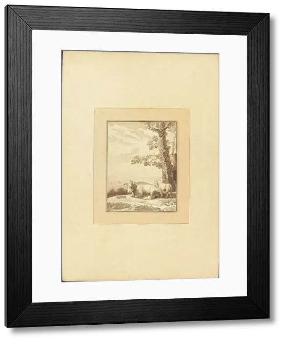 Framed Print : Cow Resting, published 1782. Creator: Regina Schönecker Framed Print : Cow Resting, published 1782. Creator: Regina Schönecker