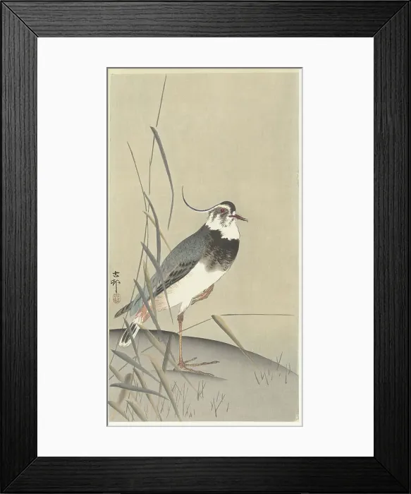 Framed Print : Lapwing and reed. Creator: Ohara, Koson (1877-1945) Framed Print : Lapwing and reed. Creator: Ohara, Koson (1877-1945)