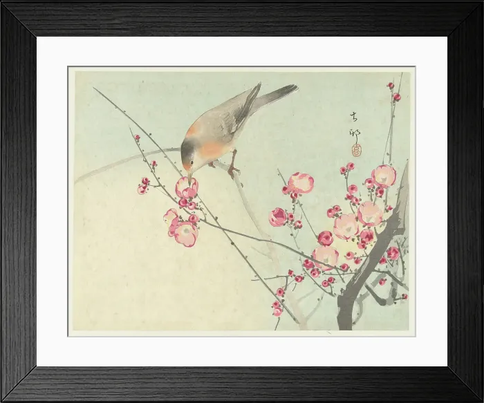 Framed Print : Songbird on blossom branch, Between 1910 and 1920. Creator: Ohara, Koson (1877-1945) Framed Print : Songbird on blossom branch, Between 1910 and 1920. Creator: Ohara, Koson (1877-1945)