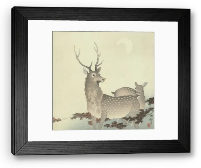 Framed Print : Two Deer, Between 1910 and 1920. Creator: Ohara, Koson (1877-1945) Framed Print : Two Deer, Between 1910 and 1920. Creator: Ohara, Koson (1877-1945)