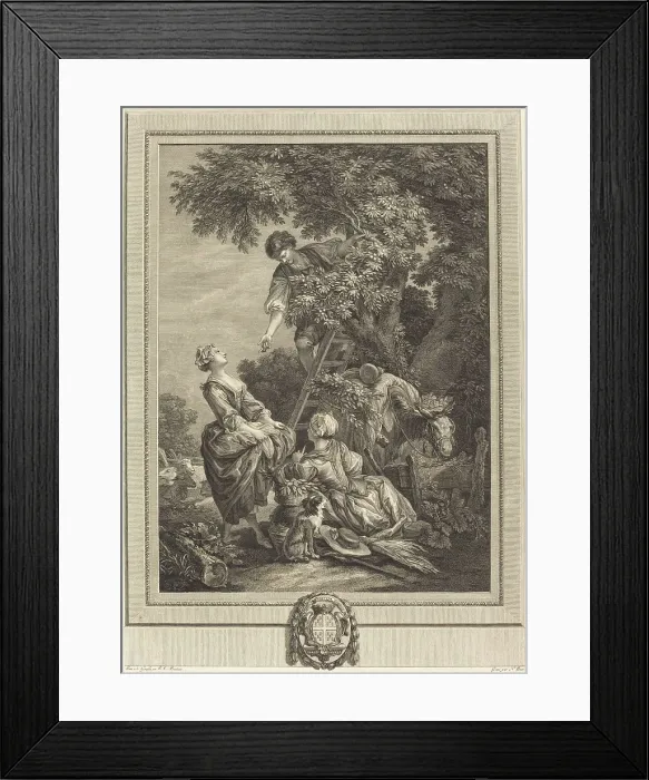 Framed Print : Les cerises. Cherries. Creator: Nicolas Ponce Framed Print : Les cerises. Cherries. Creator: Nicolas Ponce