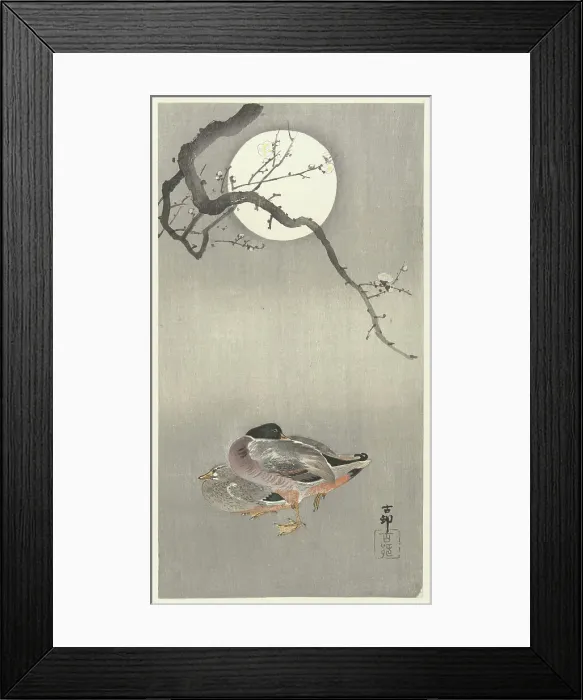 Framed Print : Ducks at full moon. Creator: Ohara, Koson (1877-1945) Framed Print : Ducks at full moon. Creator: Ohara, Koson (1877-1945)