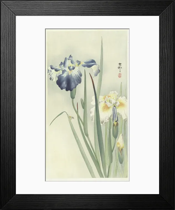 Framed Print : Irises. Creator: Ohara, Koson (1877-1945) Framed Print : Irises. Creator: Ohara, Koson (1877-1945)