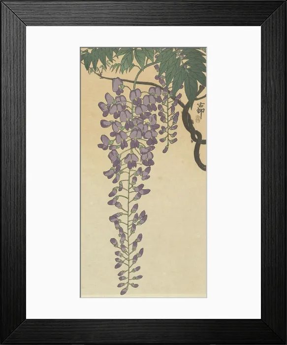 Framed Print : Flowering wisteria. Creator: Ohara, Koson (1877-1945) Framed Print : Flowering wisteria. Creator: Ohara, Koson (1877-1945)