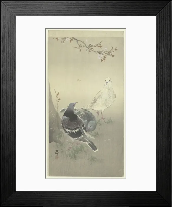 Framed Print : Three tame pigeons. Creator: Ohara, Koson (1877-1945) Framed Print : Three tame pigeons. Creator: Ohara, Koson (1877-1945)