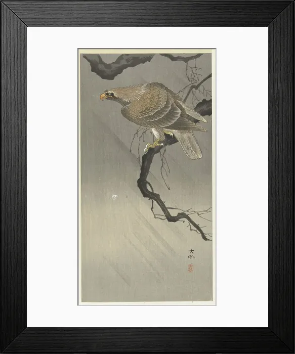 Framed Print : Eagle on branch, 1900-1910. Creator: Ohara, Koson (1877-1945) Framed Print : Eagle on branch, 1900-1910. Creator: Ohara, Koson (1877-1945)