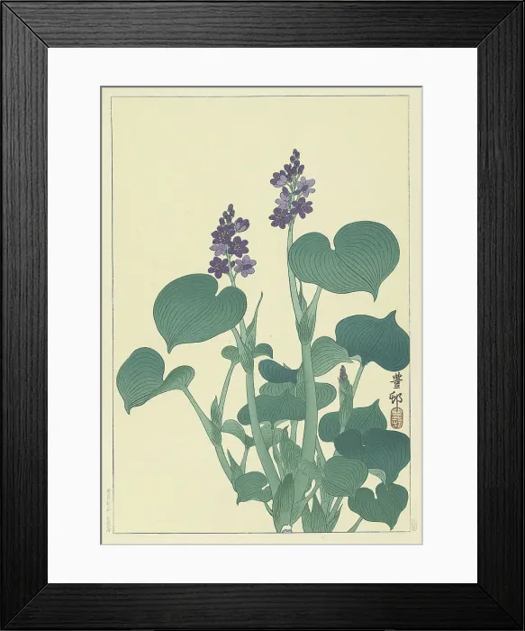 Framed Print : Flowering hosta. Creator: Ohara, Koson (1877-1945) Framed Print : Flowering hosta. Creator: Ohara, Koson (1877-1945)