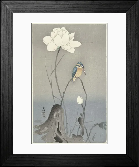 Framed Print : Kingfisher with Lotus Flower. Creator: Ohara, Koson (1877-1945) Framed Print : Kingfisher with Lotus Flower. Creator: Ohara, Koson (1877-1945)