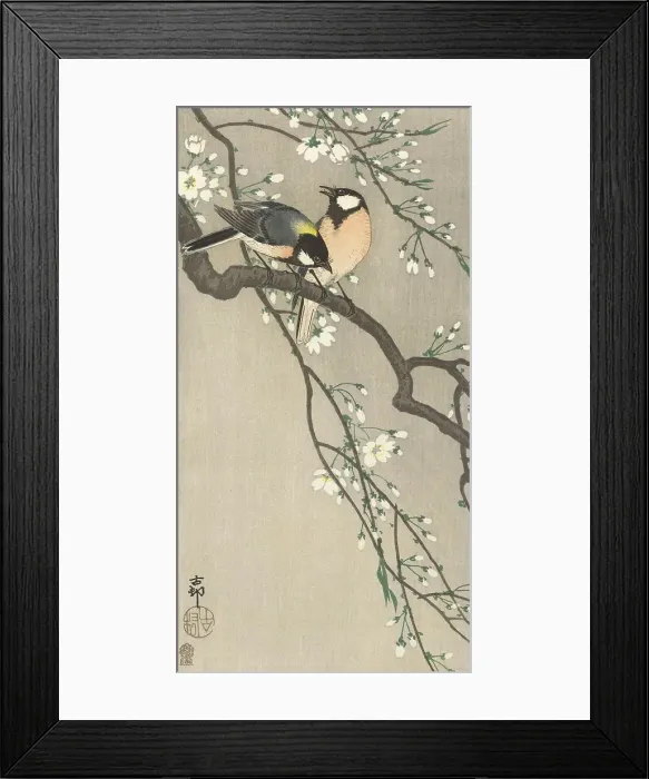 Framed Print : Tits on Cherry Branch, 1900-1910. Creator: Ohara, Koson (1877-1945) Framed Print : Tits on Cherry Branch, 1900-1910. Creator: Ohara, Koson (1877-1945)