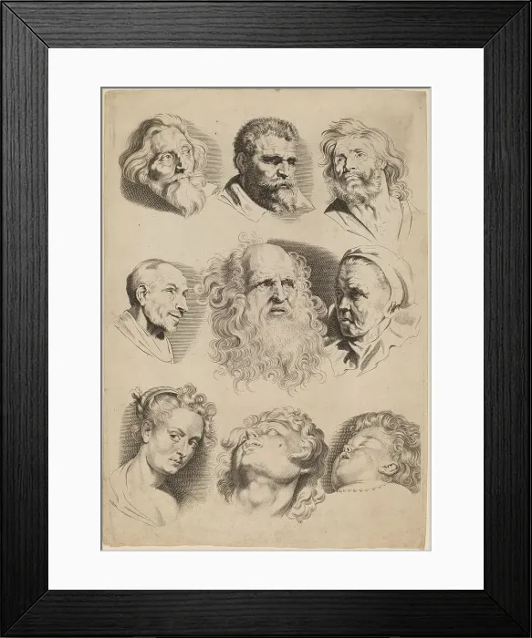 Framed Print : Nine Heads. Creator: Paulus Pontius Framed Print : Nine Heads. Creator: Paulus Pontius