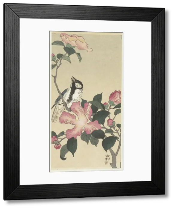 Framed Print : Great tit on branch with pink flowers. Creator: Ohara, Koson (1877-1945) Framed Print : Great tit on branch with pink flowers. Creator: Ohara, Koson (1877-1945)